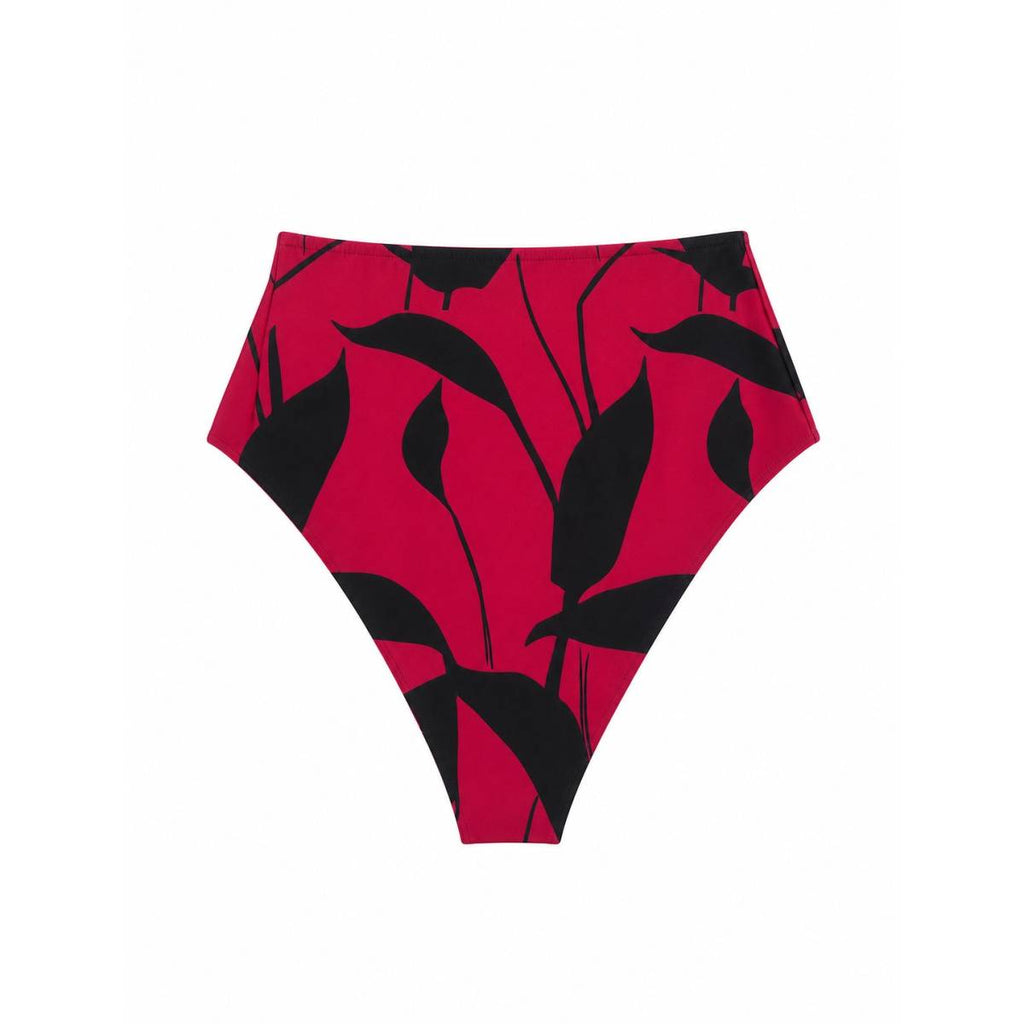 Kiton | Swimsuit