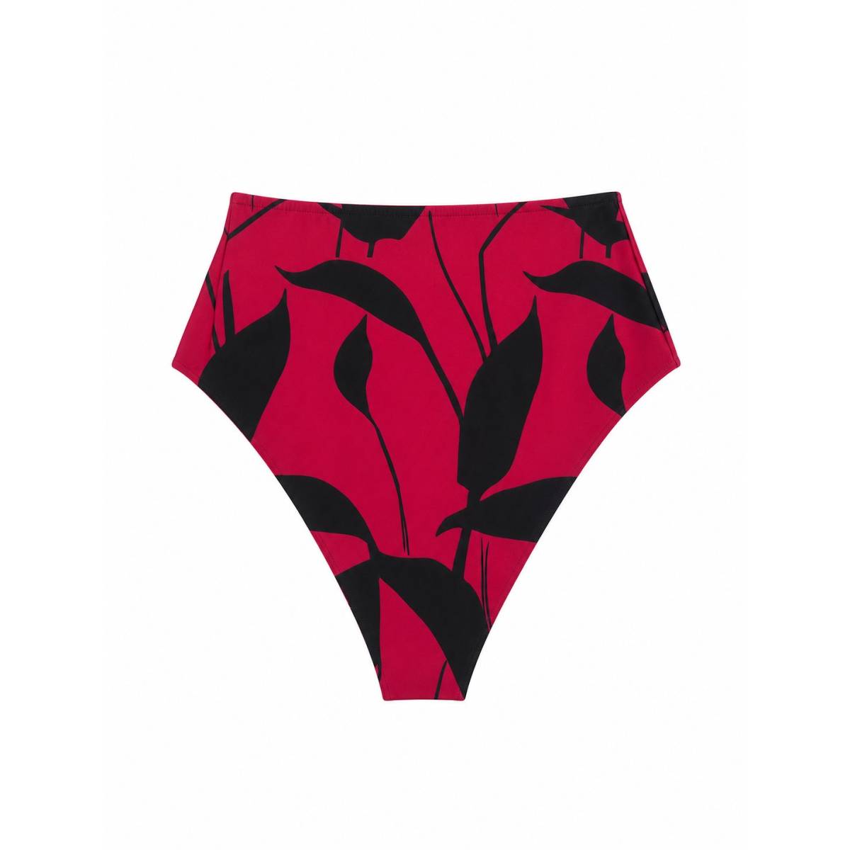 Kiton | Swimsuit