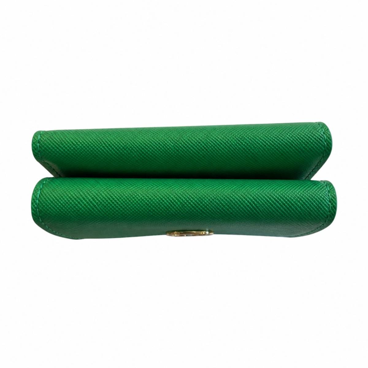 Twinset | Wallet Flag Green